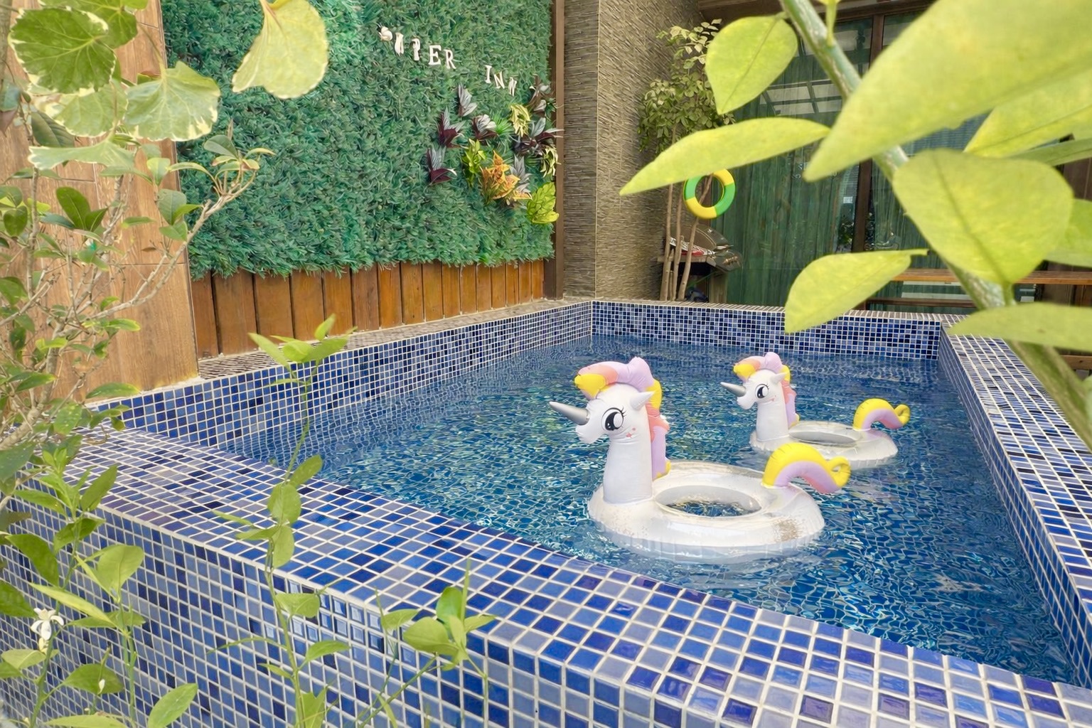 泳池